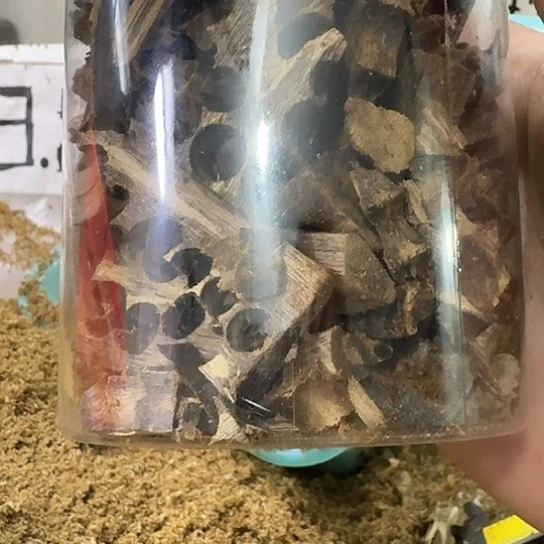 L***庆沉香沉香碎屑边角料100克