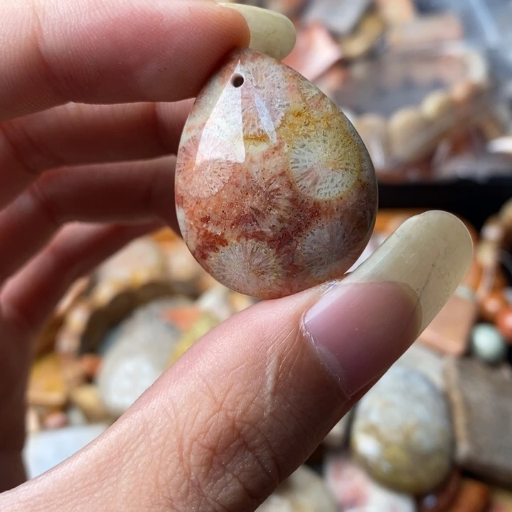 兜****颈饰未镶嵌硅化珊瑚（珊瑚玉）