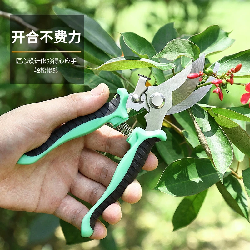 不锈钢树枝剪修枝剪园艺剪刀果园花艺专用摘果剪园林工具剪