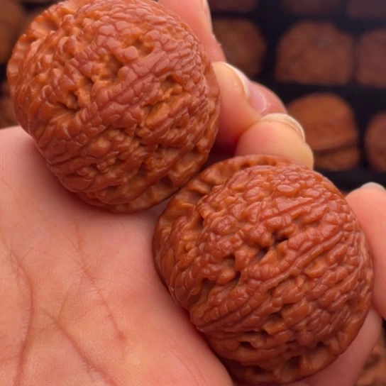 文玩核桃把件秦岭山脉核桃