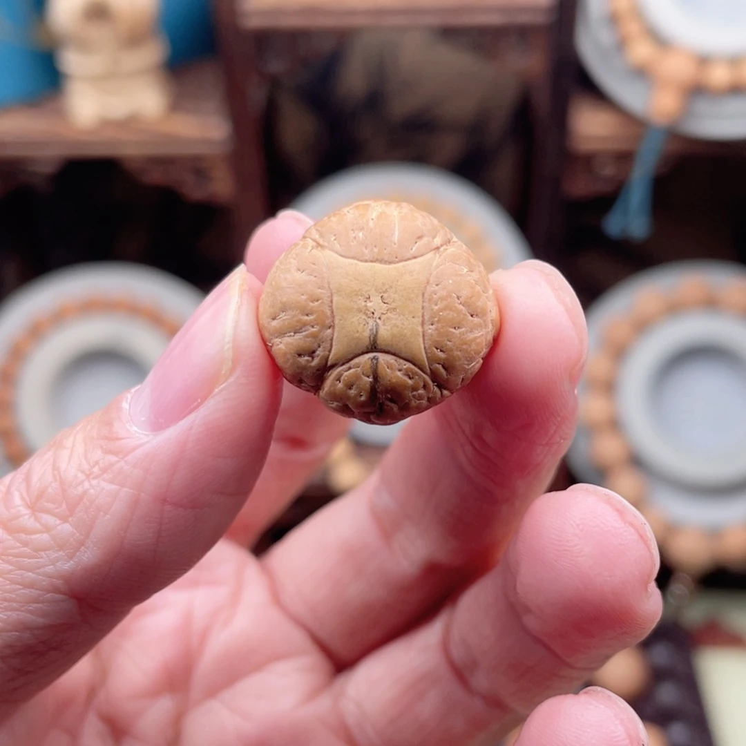 吊坠凤眼菩提耳*陈麒麟