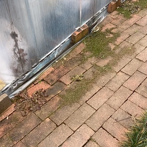 @****仙人掌粉桃精灵10 cm以上