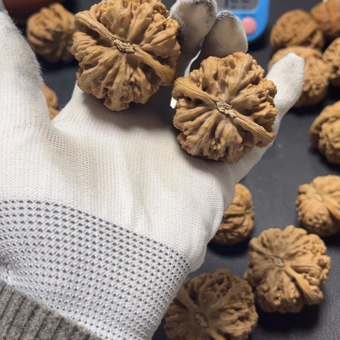 文玩核桃把件猪***葱