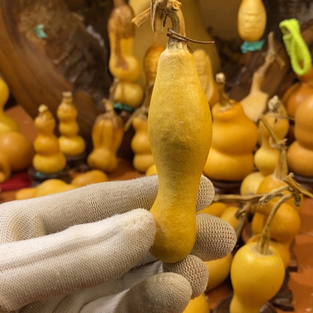 早***好教练咯哦哦哦教练咯啦