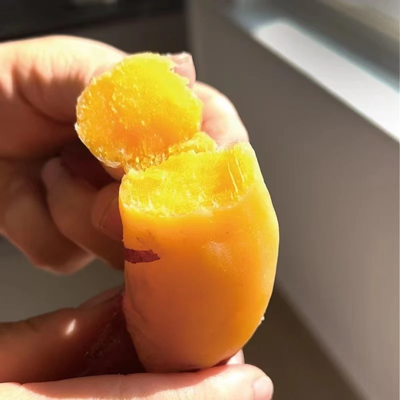 正宗临安天目山小香薯香甜板栗红薯新鲜现挖香甜番薯沙地地瓜番薯