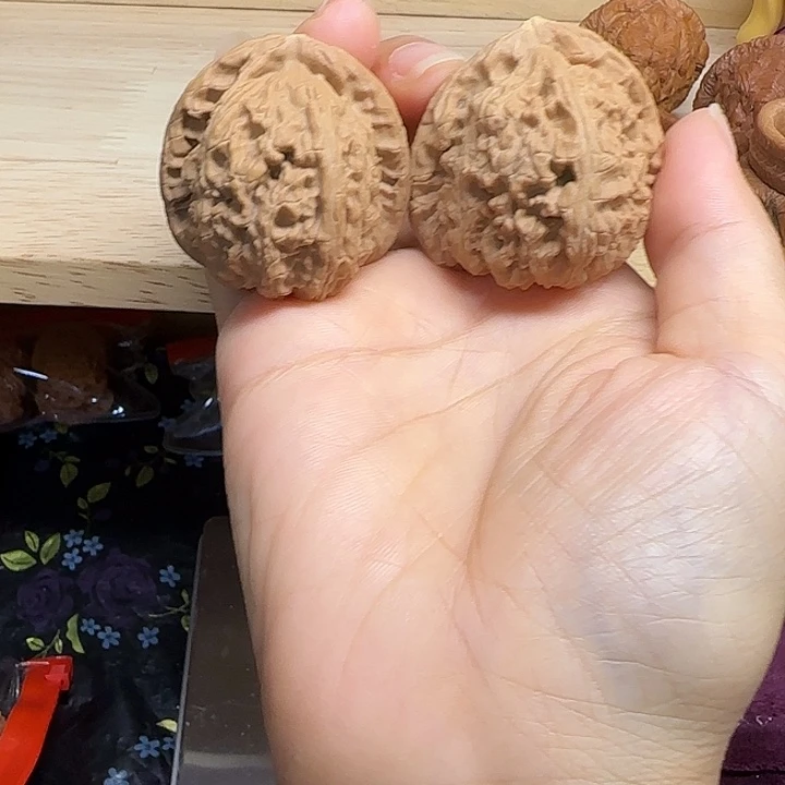 核桃手串/手链白狮子40+黄尖