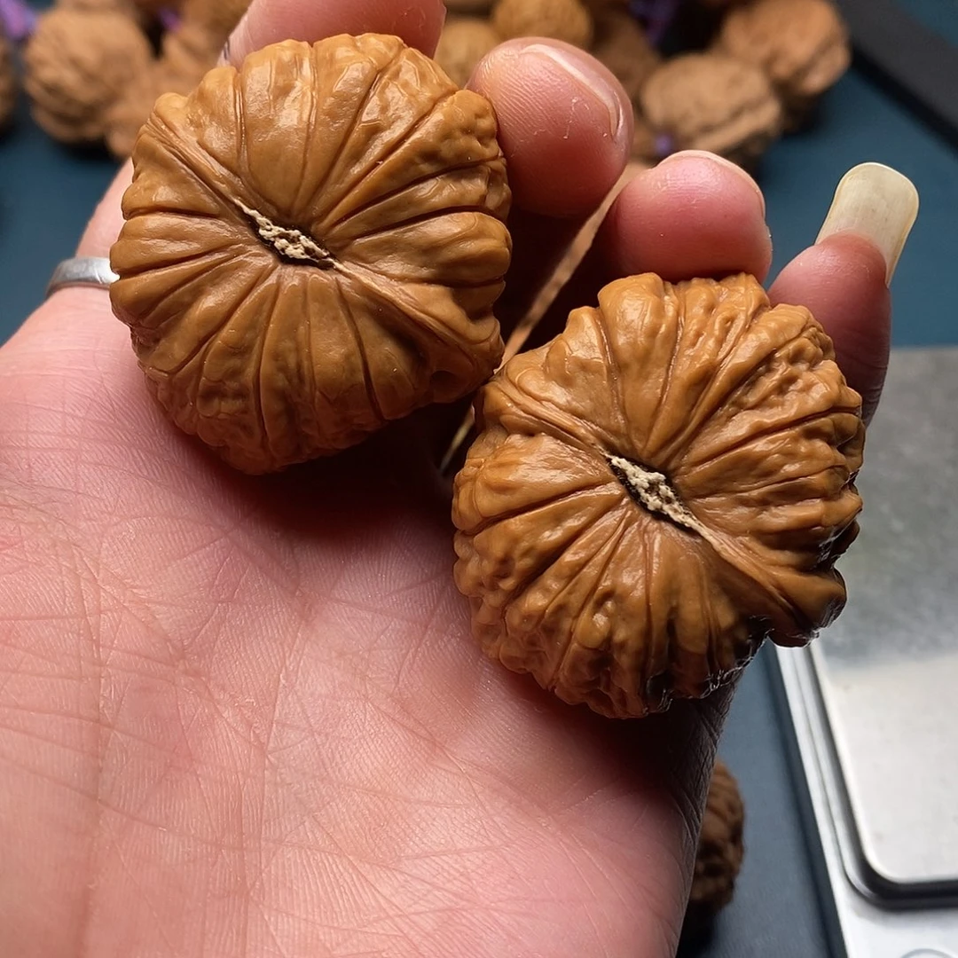 文玩核桃南瓜墩39全品