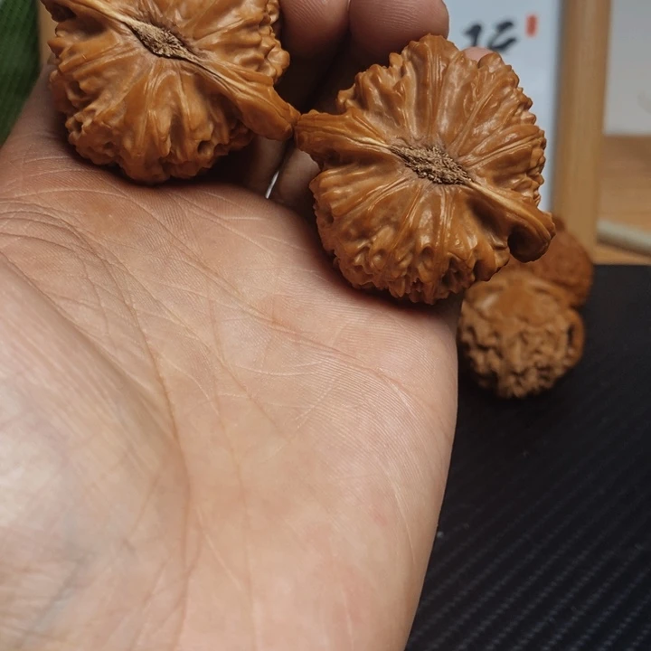 二***哥大叶紫檀（黑酸枝木类）白狮子