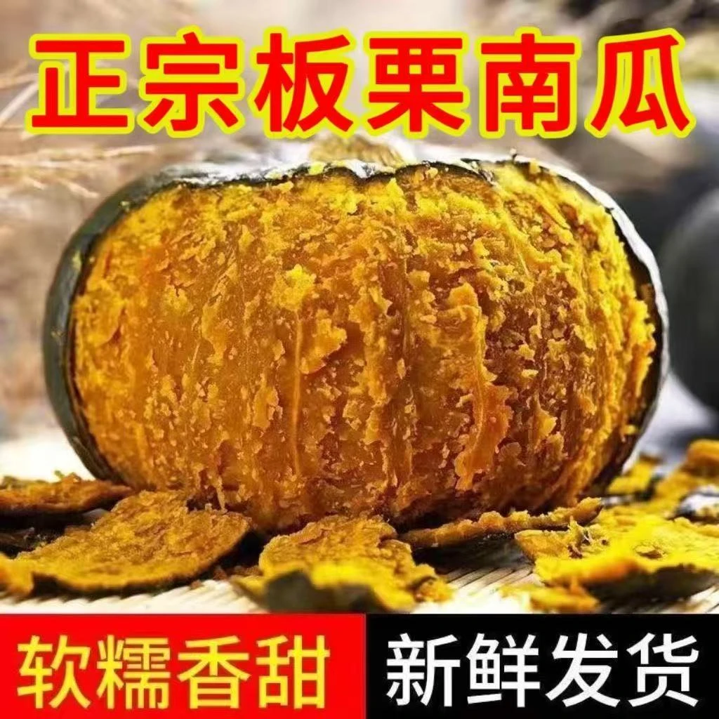 正宗板栗南瓜香甜粉糯板栗味南瓜宝宝辅食非贝贝南瓜包邮一整箱