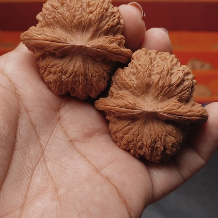 鱼***旧核桃血麒麟45尺核桃