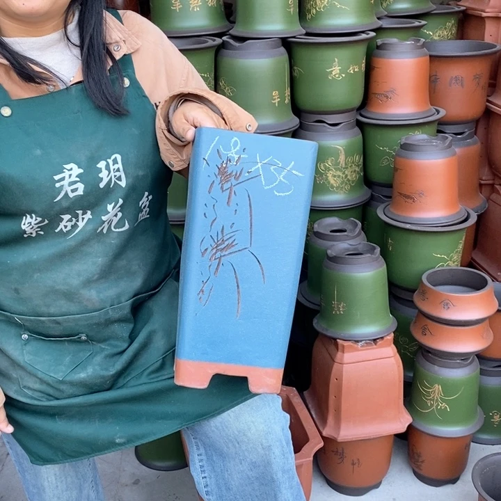 紫砂花盆盆栽花卉苗木种植