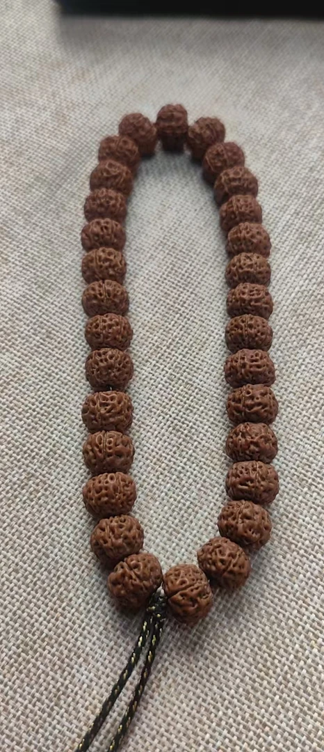 随机小金刚手持一条