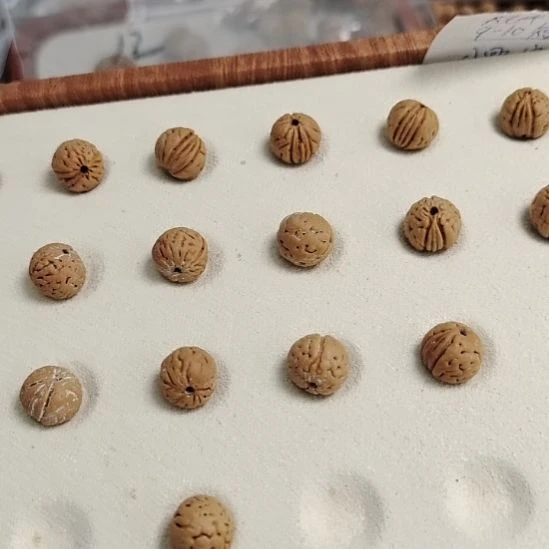 手串桃核111111111111