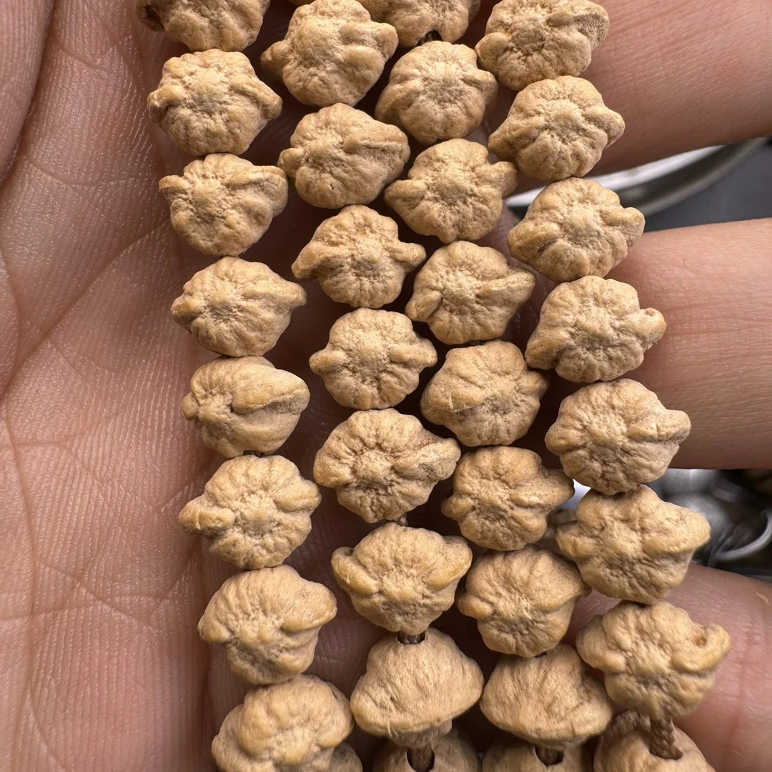 西藏热振百香籽《太阳花》个性籽