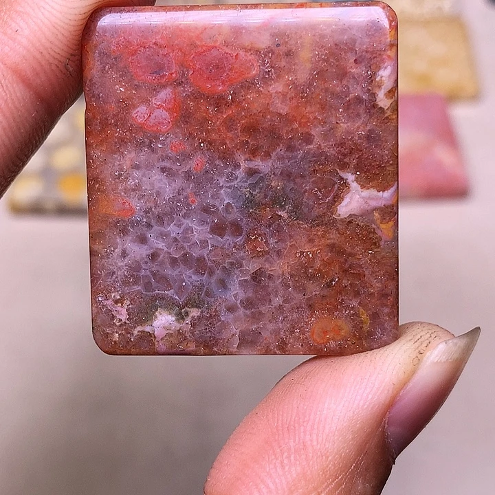 白***柏硅化玉合金珊瑚玉