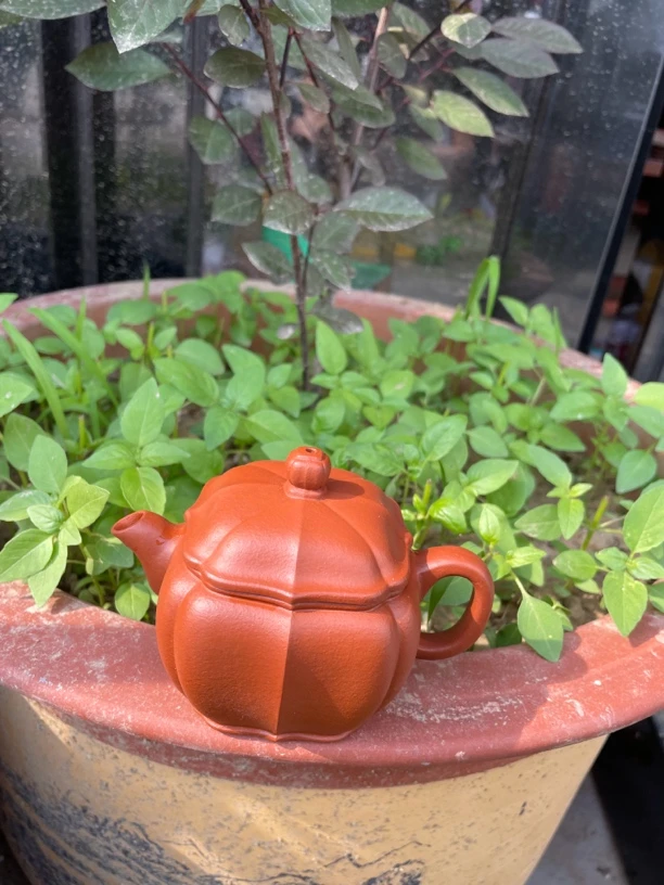 筋纹器红泥小容量茶具朱泥150cc汉瓦0添加
