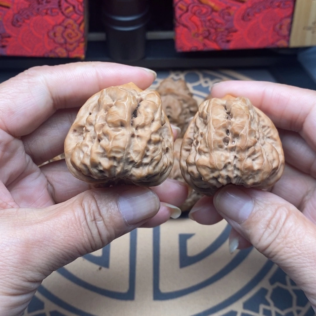 张***n核桃三角蛙40肚45边