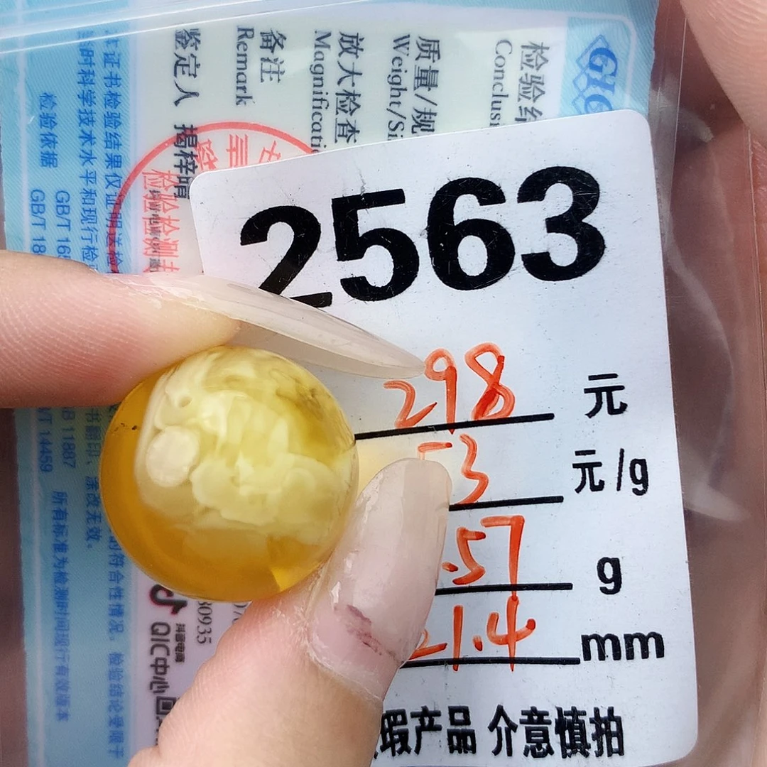 琥珀未镶嵌珠宝奇石21.5植物