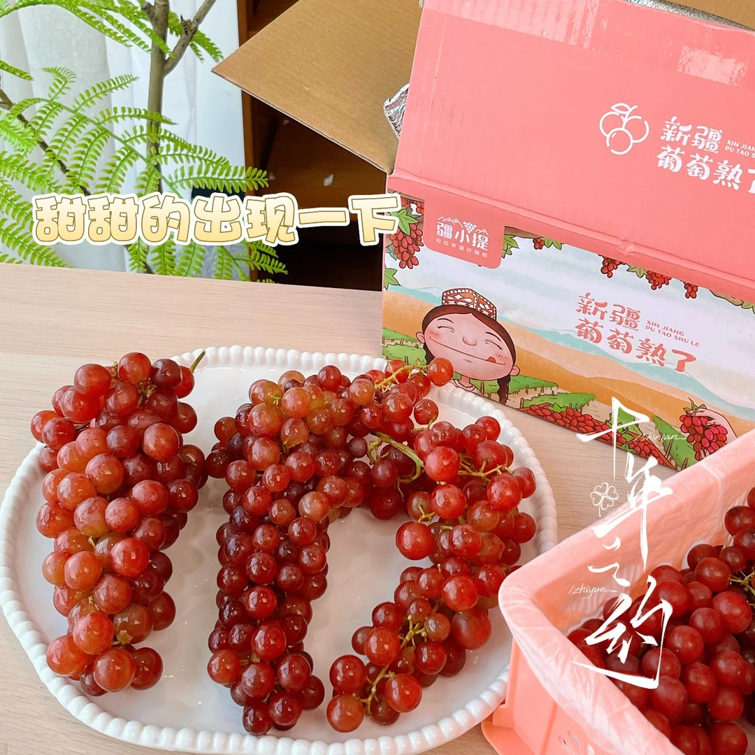【新疆玻璃翠葡萄】爆款来袭  应季新鲜水果火焰脆提子