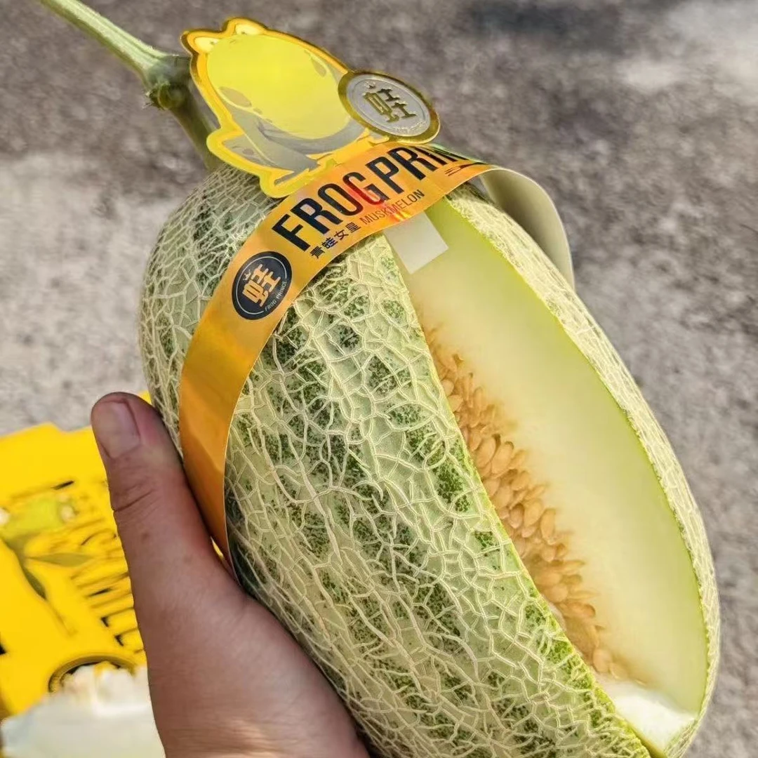 【赵叔严选】宁夏青蛙王子蜜瓜 香甜软糯 入口即化 现摘现发 京东速达宁夏回族自治区