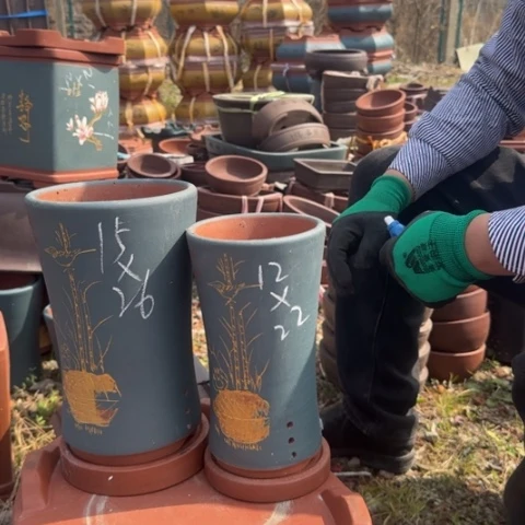 紫砂花盆紫砂花盆盆盆景盆栽