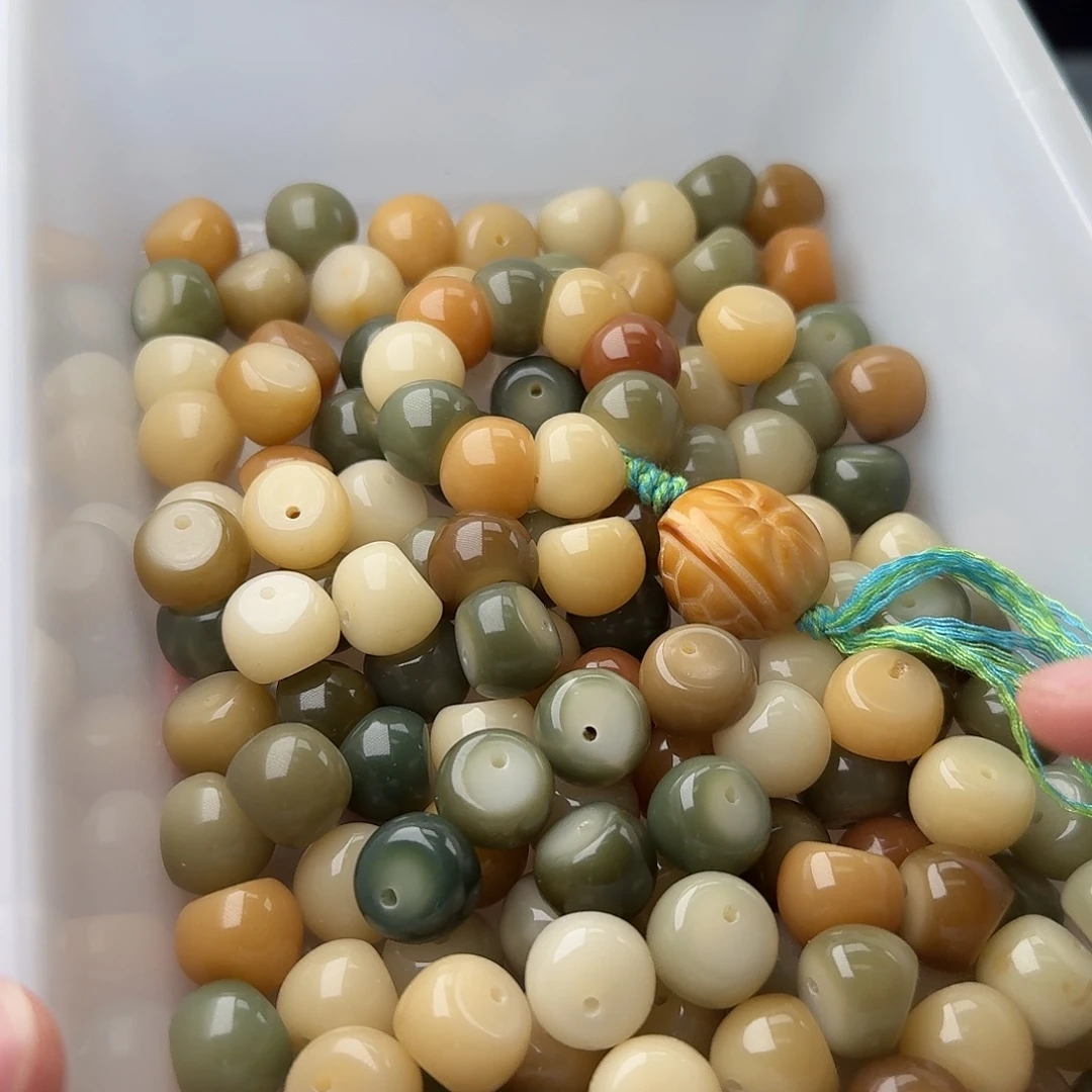 吊坠菩提根/象牙果20颗菲料多宝大蒜瓣14.5  厚切
