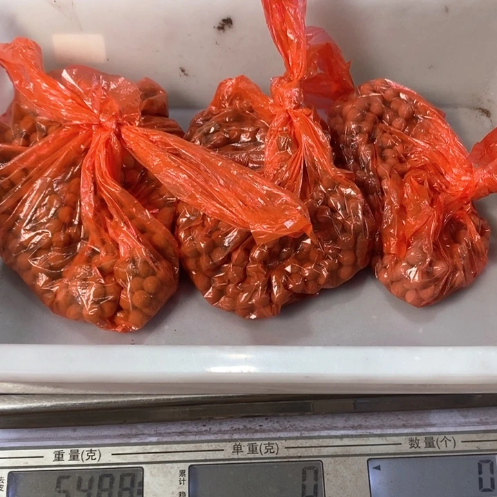 泥塑合香珠无打孔体验香3