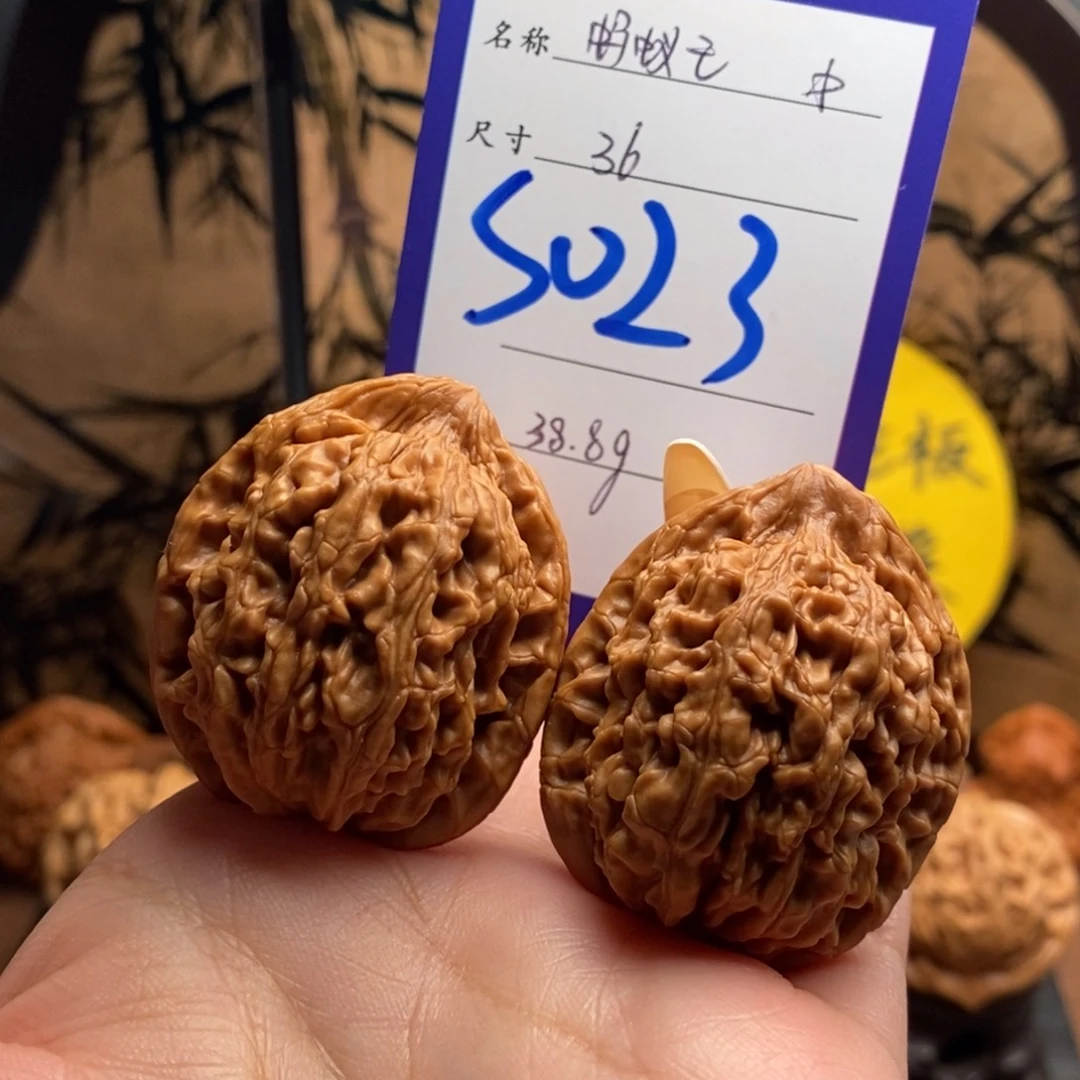 文玩核桃把件粗筋蚂蚁王36