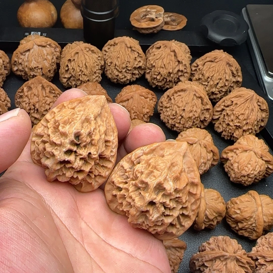 45尺全品无修龙纹