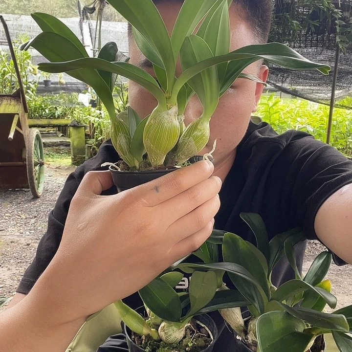 完全开放无需担心