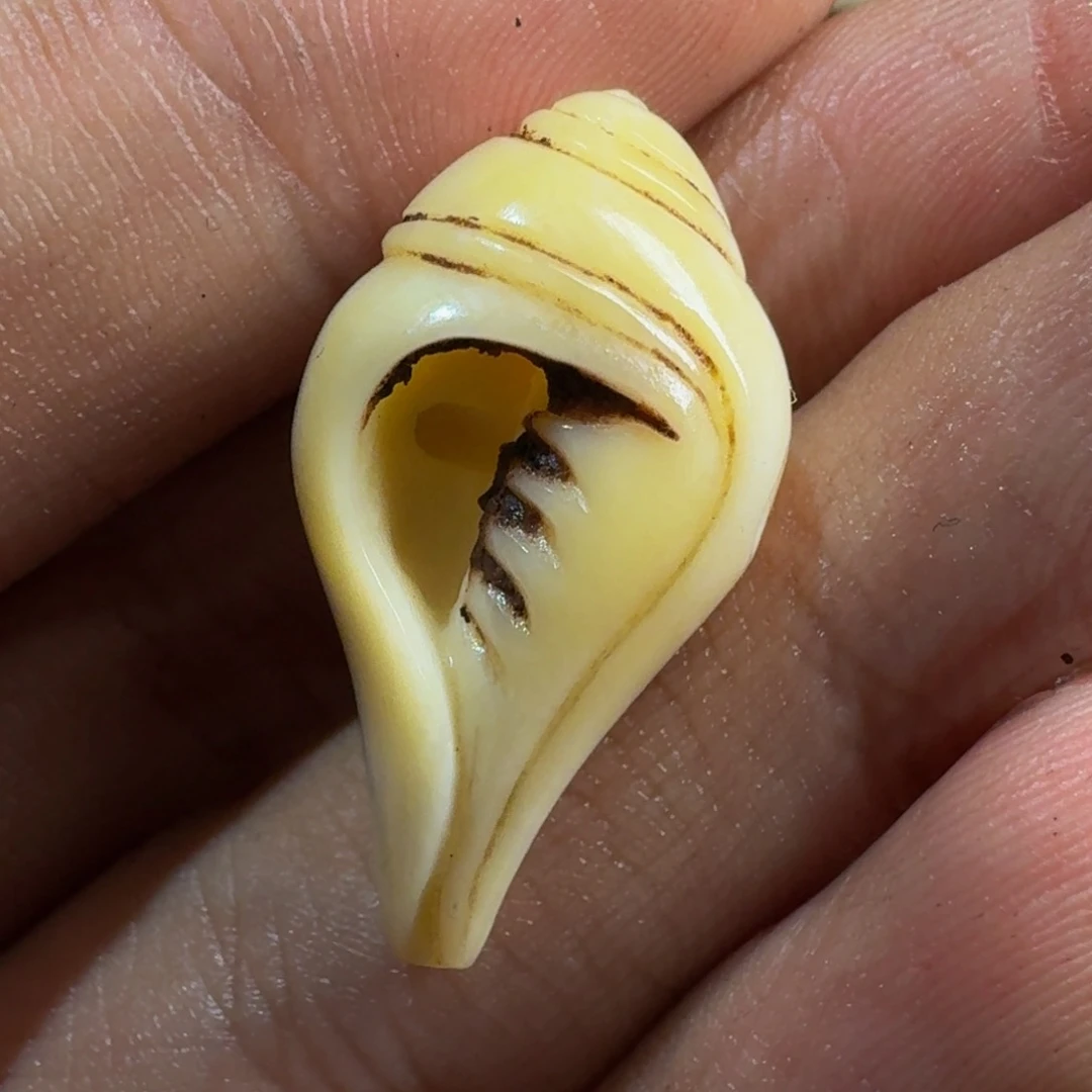 泥塑啊啊啊啊啊啊啊啊