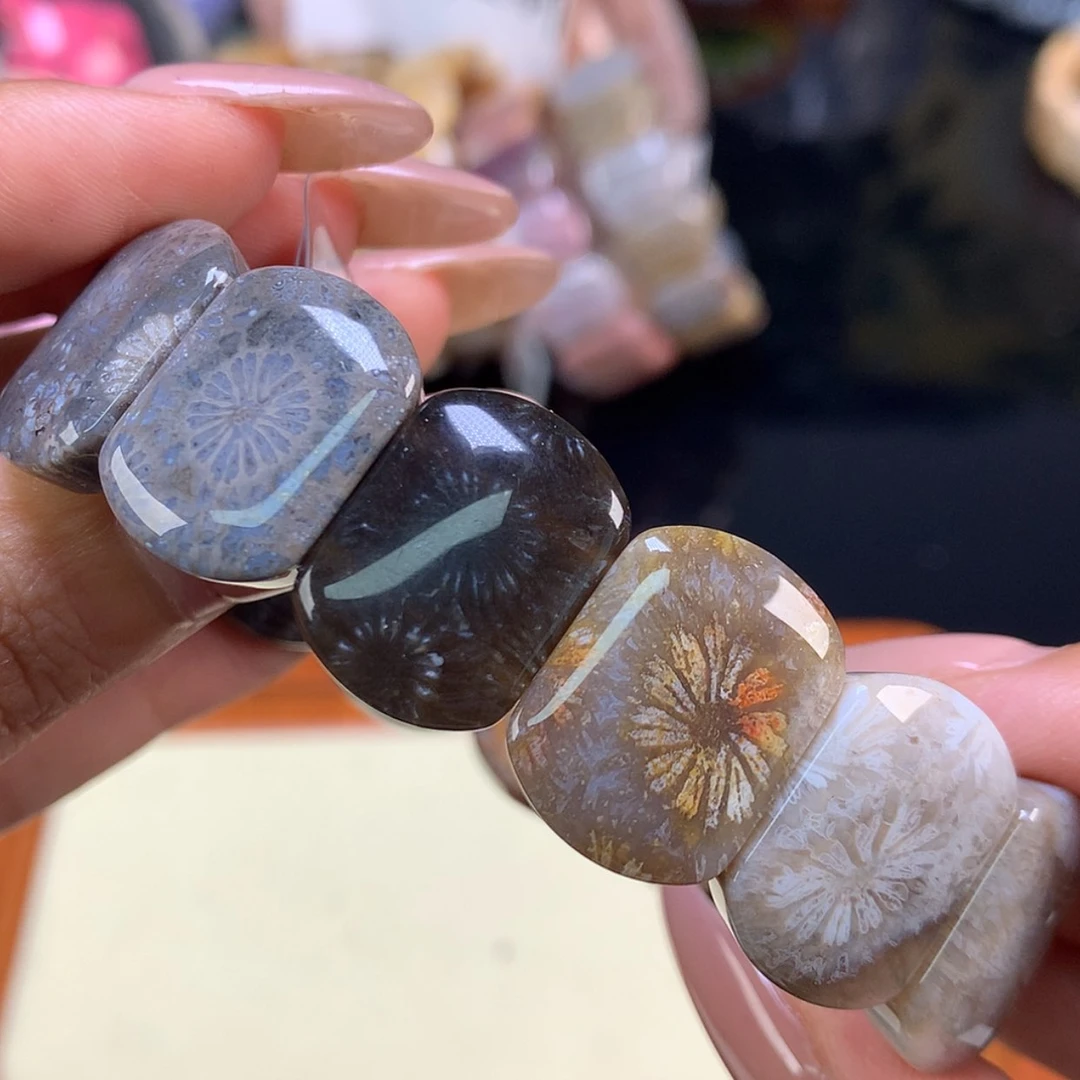 【闪购商品】颈饰未镶嵌硅化珊瑚（珊瑚玉）17号
