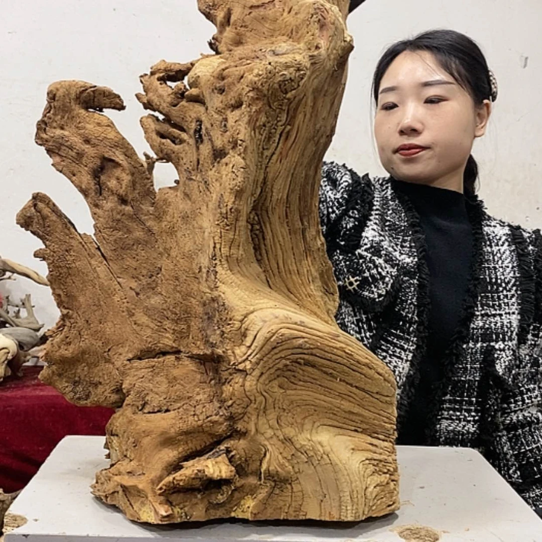 【闪购商品】柏木厚*我们都是好孩子