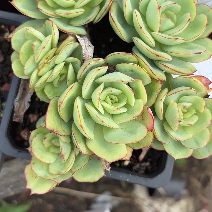 闪购020呀呀呀雨啊呀