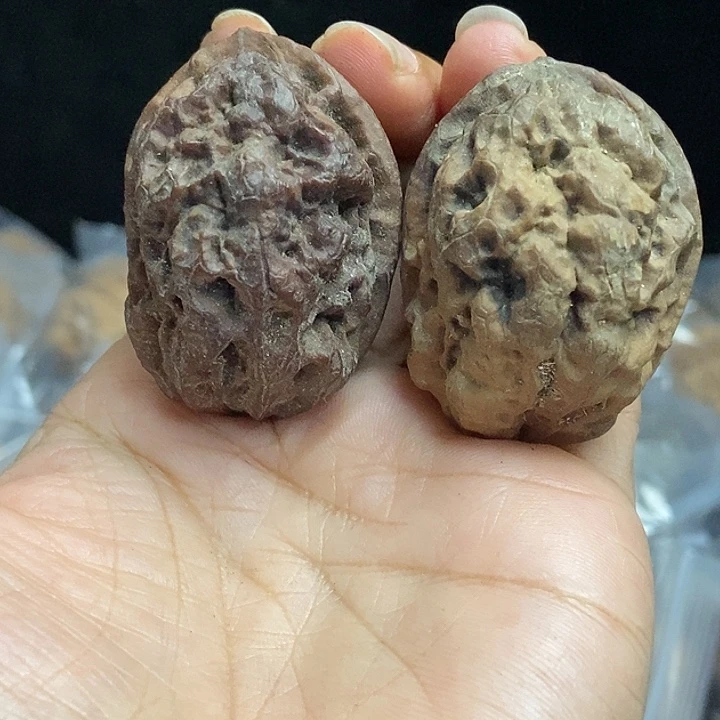 文玩核桃把件云南铁核桃基地54