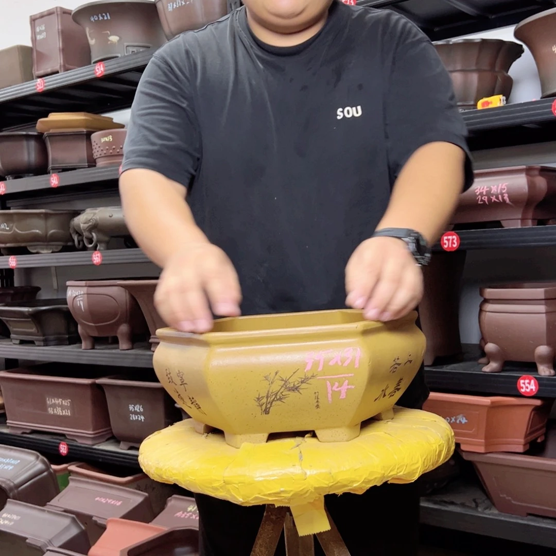 紫砂其他呜呜呜呜我