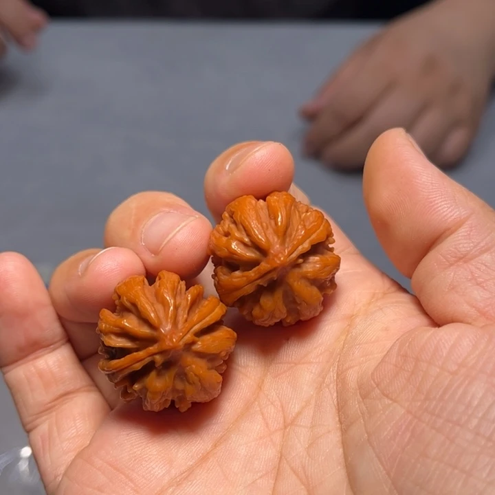 把件文玩核桃霸王龙4819