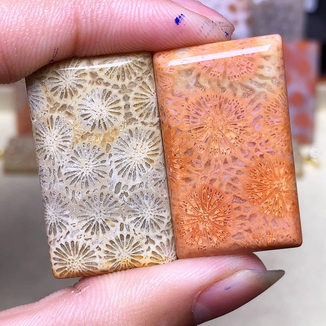 硅化玉珠宝奇石合金海*