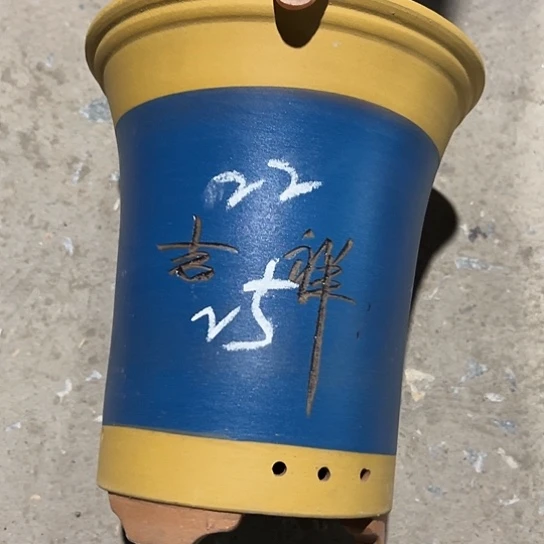 紫砂工艺厂……紫砂工艺厂……