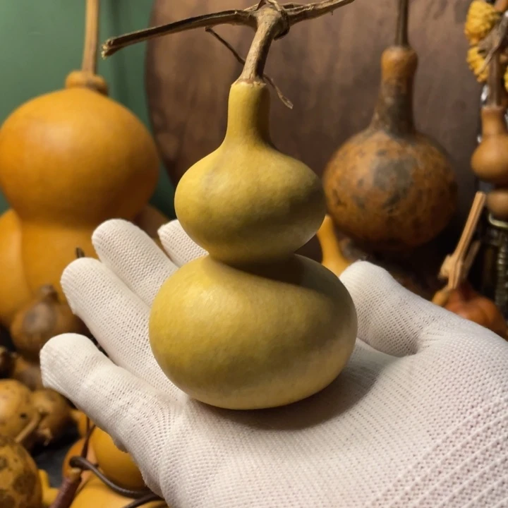 14理性消费看好下单