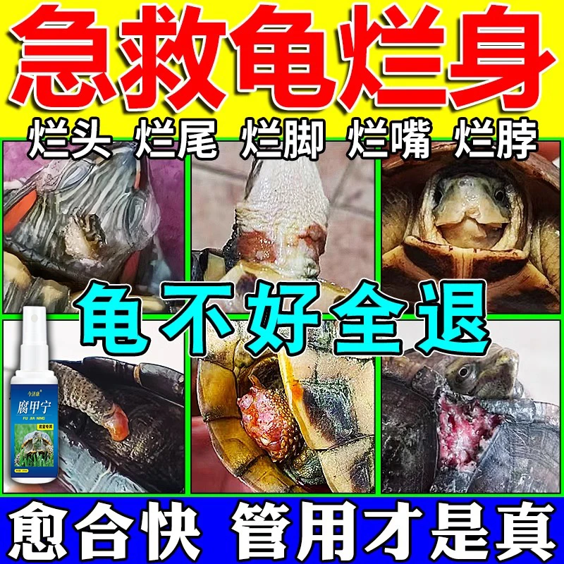 乌龟腐皮烂甲万能护龟液巴西龟白眼烂脚掉皮烂头嘴脖子尾巴脚专用