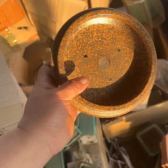 是一个不知名作家与著名导演兼电影演员们