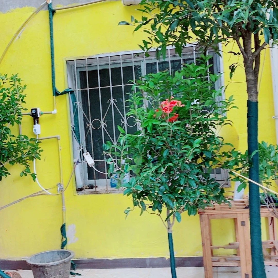 宋***门完全开放3左右四级桂4左右金桂