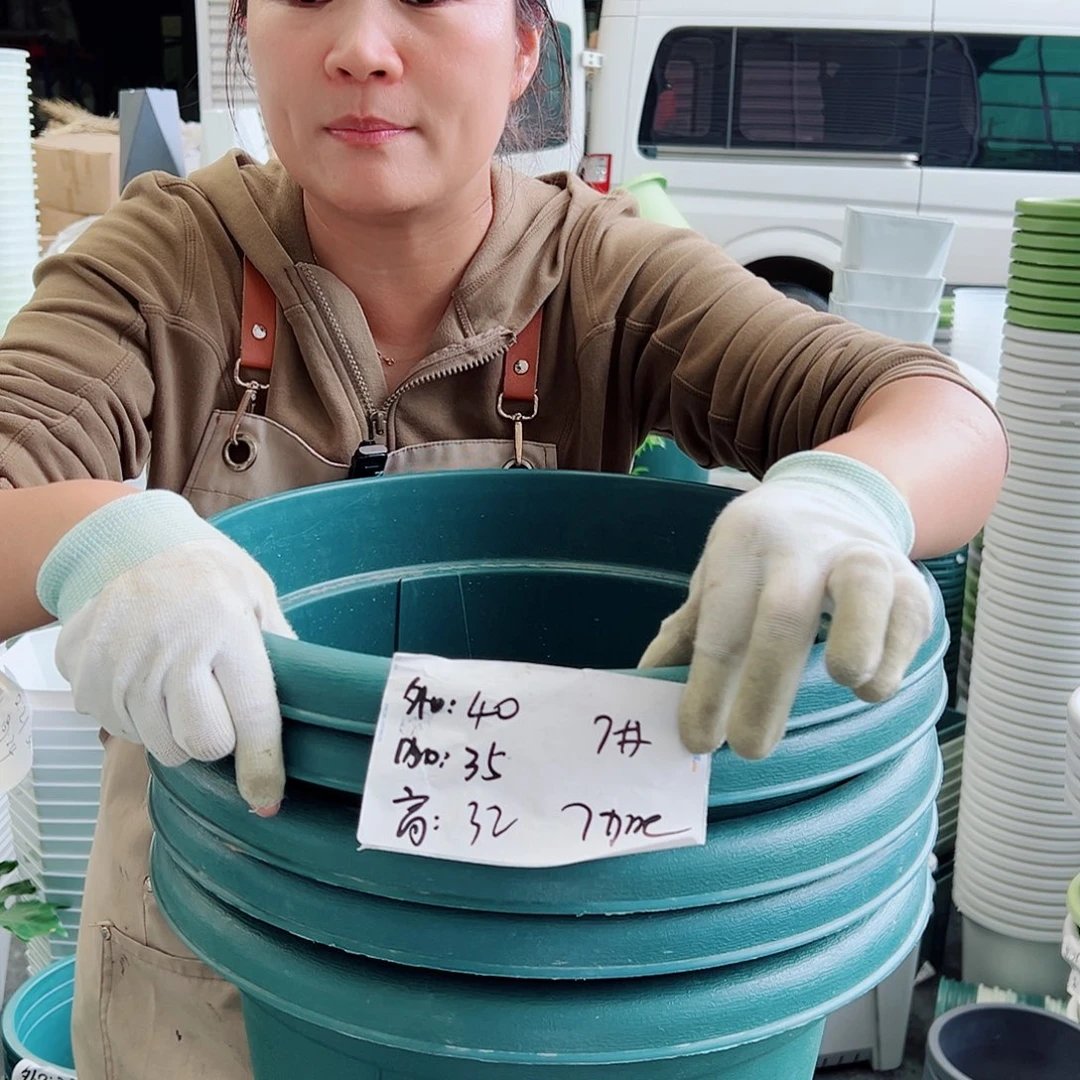 青山盆7#墨绿色5个无托