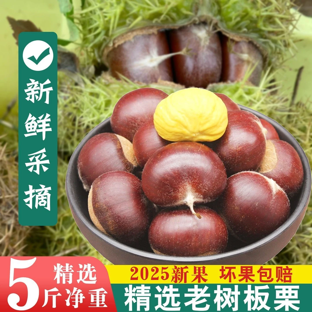 2025贵州新鲜板栗本地栗子老树毛栗粉糯香甜