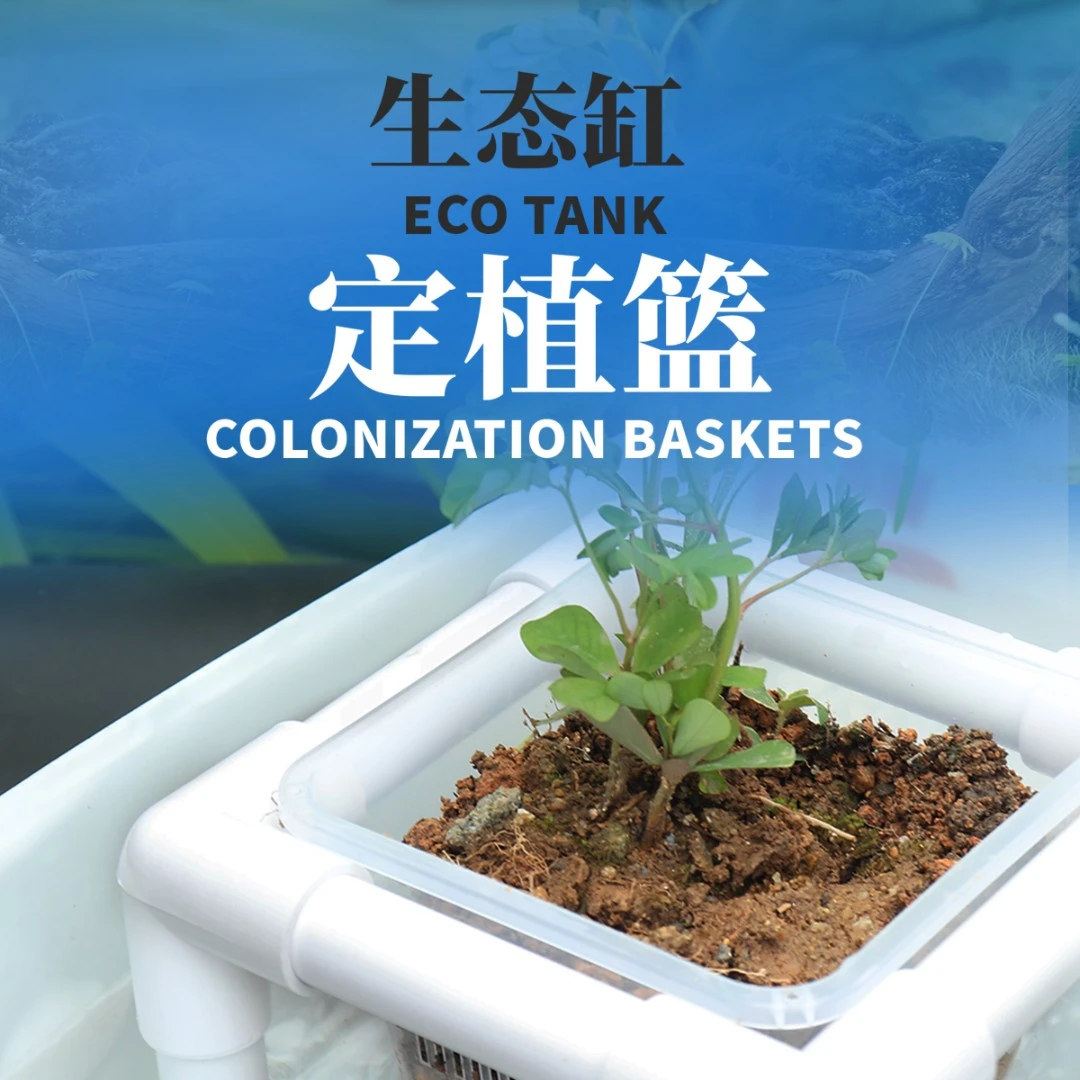 鱼缸水培植物篮支架水植物定植篮鱼缸造景装饰水草种植杯挺定制