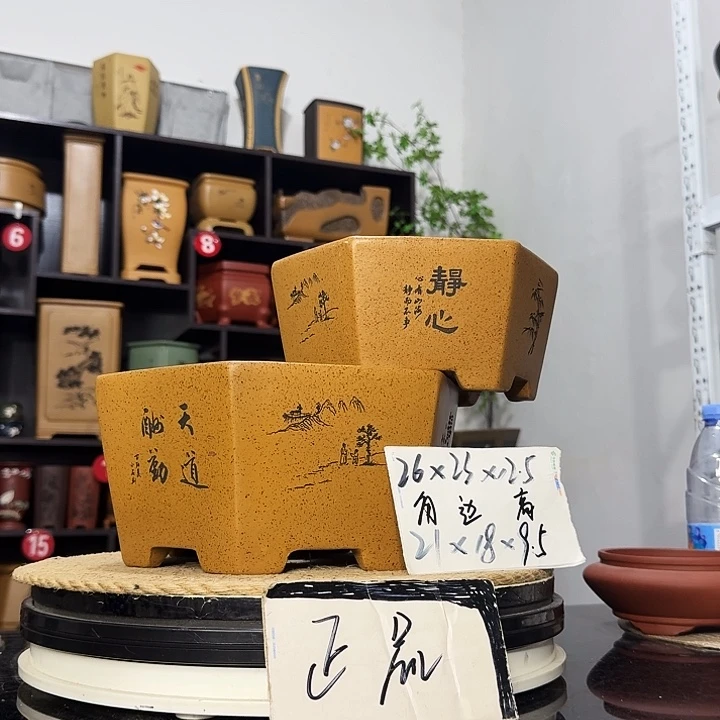 紫砂花盆盆友记紫砂花盆