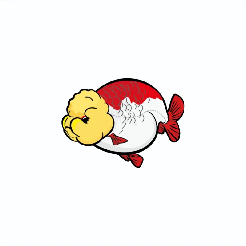 汐汐兰寿红白花寿麒麟奶花