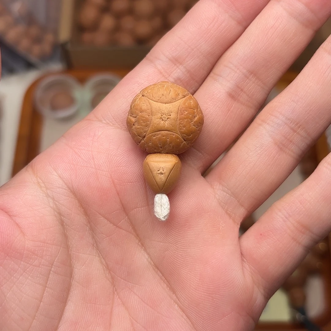 手串凤眼菩提麒麟三通21