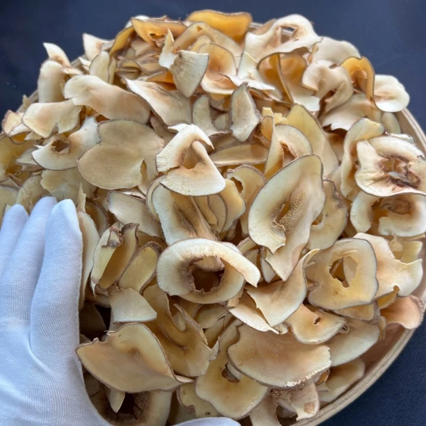 【鸡哥专属】海底椰 煲汤煲水【虾干福利】